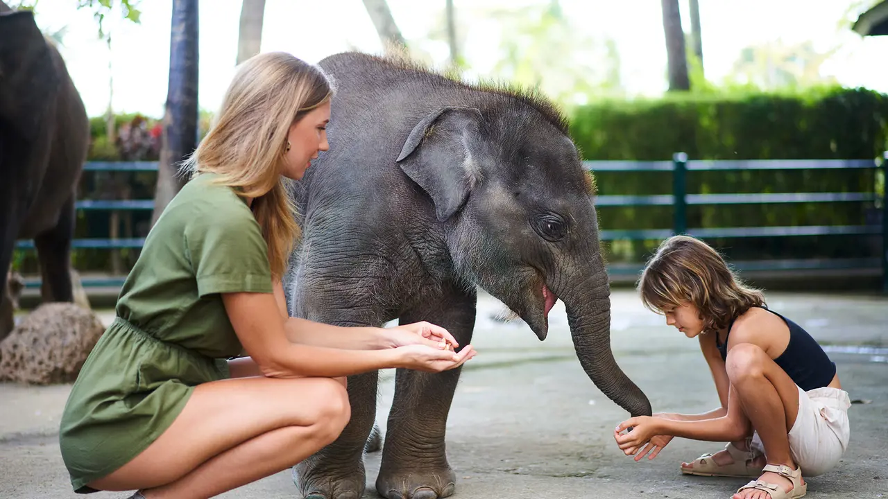 Mason Elephant Park Bali by Mason Adventures (Formerly known as Elephant Safari Park)
